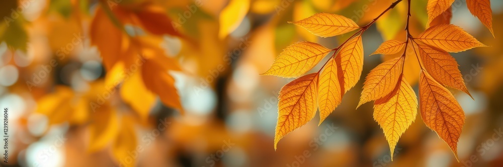 Vibrant autumn leaves create a warm atmosphere in a serene forest during a sunny afternoon Vibrant autumn leaves create a warm atmosphere in a serene forest during a sunny afternoon