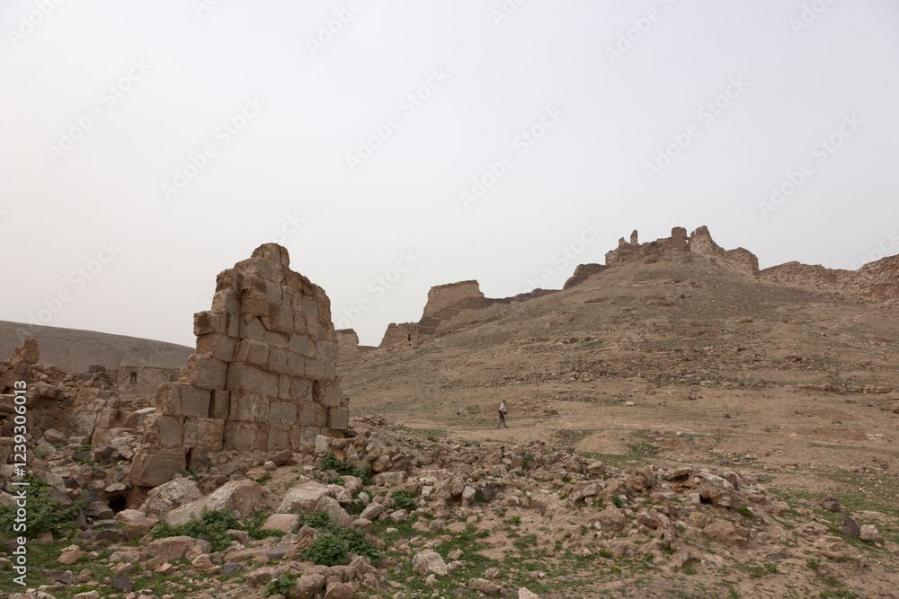 Syria ruins of Resafa on a cloudy spring day Syria ruins of Resafa on a cloudy spring day