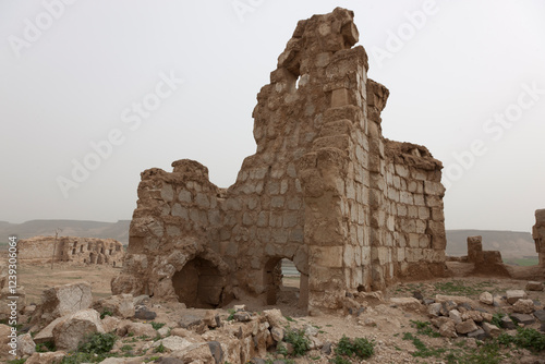 Syria ruins of Resafa on a cloudy spring day photo