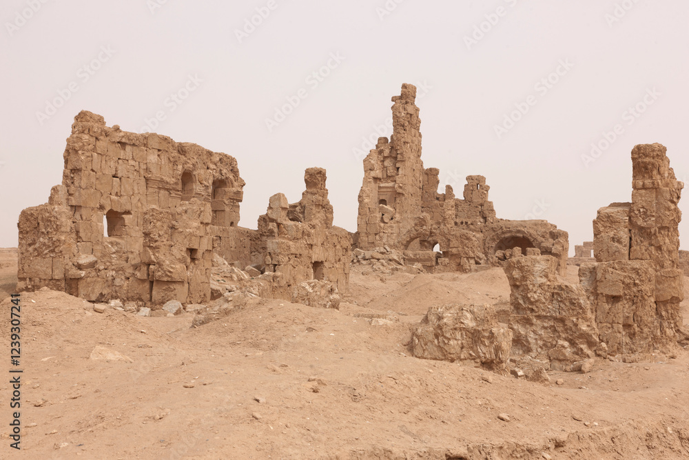 Syria ruins of Resafa on a cloudy spring day Syria ruins of Resafa on a cloudy spring day