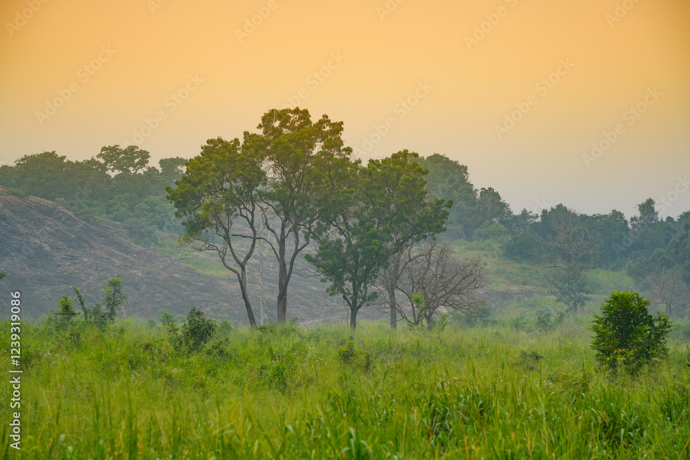 Fototapeta premium Hurulu Eco Park landscape in Habarana, Sri Lanka, Asia