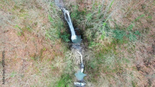 waterfall in the forest