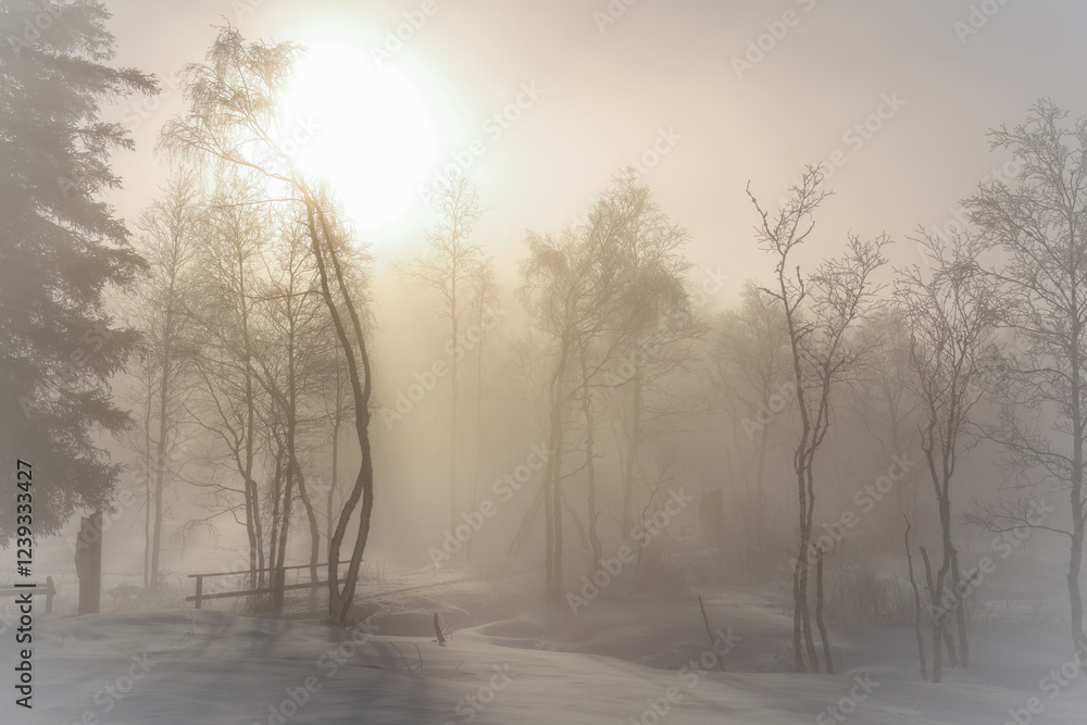 Fototapeta premium walking on the snow capped mountains at a sunny and foggy winter day