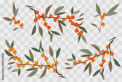 isolated vector branches of yellow sea buckthorn on a transparent background berries and green leaves