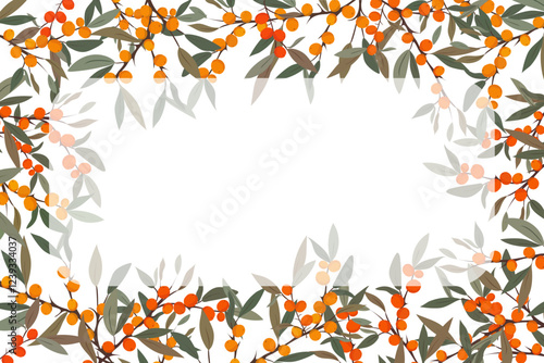 frame with sea buckthorn branches on white background vector illustration for web design berries and green leaves