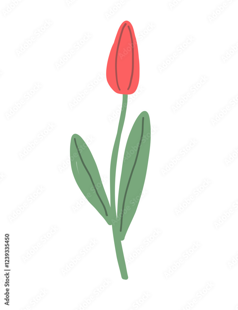 Hand drawn illustration of a tulip on white background Hand drawn illustration of a tulip on white background