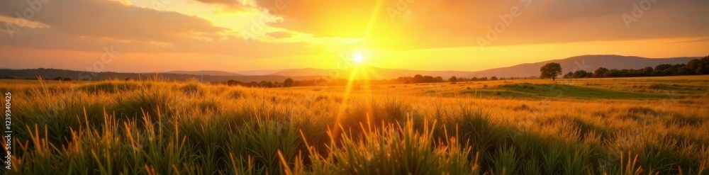 Warm light slowly rising over vast grassy plain, natural wonder, serene landscape, golden hour Warm light slowly rising over vast grassy plain, natural wonder, serene landscape, golden hour