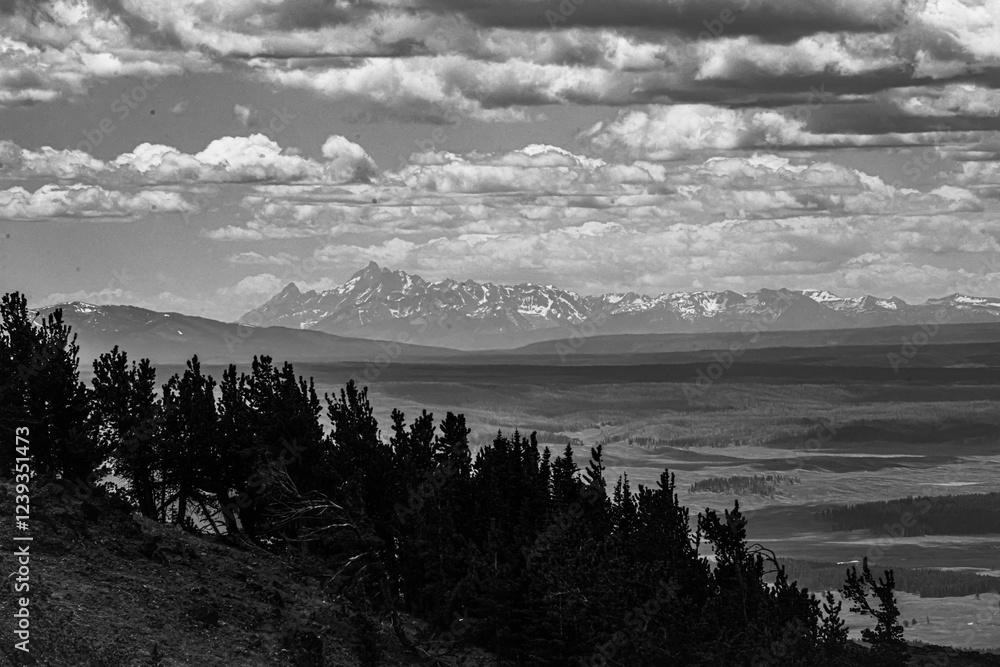 Fototapeta premium Grand Tetons from Yellowstone