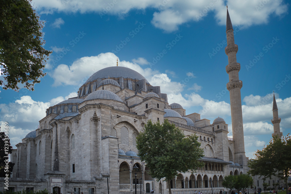 Fototapeta premium Süleymaniye mosque istanbul turkey