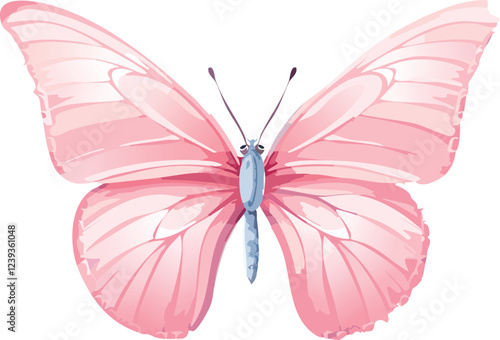 Pink butterfly vector illustration. Colorful cartoon isolated on white background