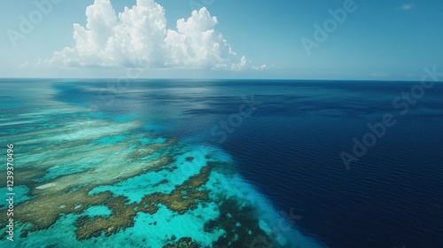 Aquatic Paradise: A Hidden Lagoon with Crystal-Clear Waters