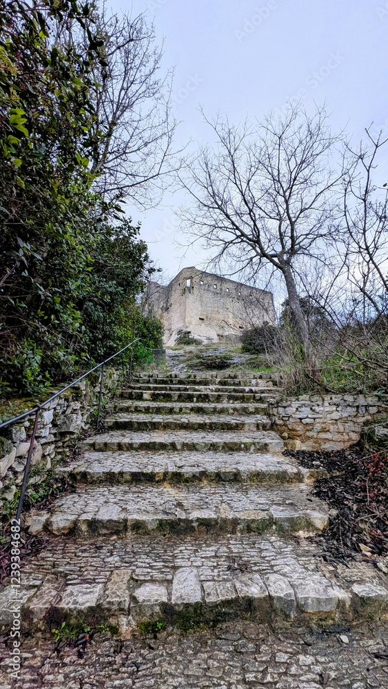 VAISON-LA-ROMAINE (Vaucluse)