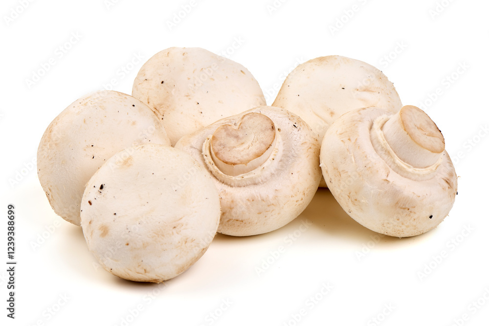 Champignons, close-up, isolated on white background. Champignons, close-up, isolated on white background.
