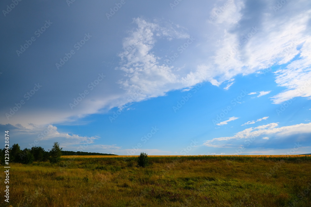 A country road with sprouted grass, stretching towards the horizon with a blue sky. A country road with sprouted grass, stretching towards the horizon with a blue sky.
