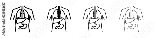 human body anatomy icon Outline sign symbol set