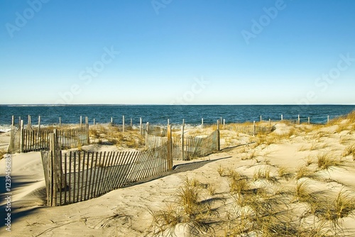 Photography Winter day landscape of sand fences in the dunes beneath a sunny blue sky at Chapin Beach, on Cape Cod near Dennis, Massachusetts