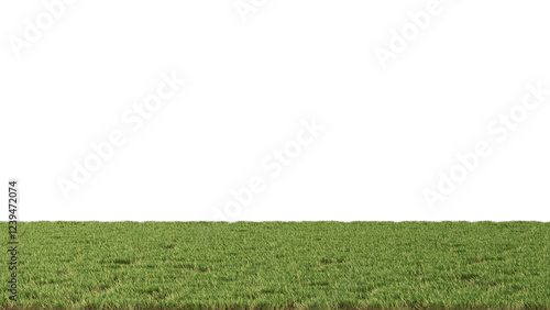 Flat landscape Grass no background 