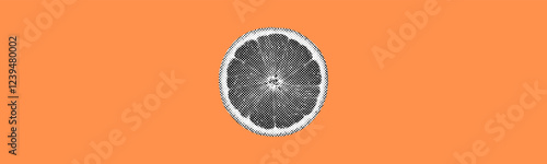 orange citrus fruit slice isolated on white background collage element for mixed media design cutout retro vintage halftone grunge crazy y2k dotted texture pop art style