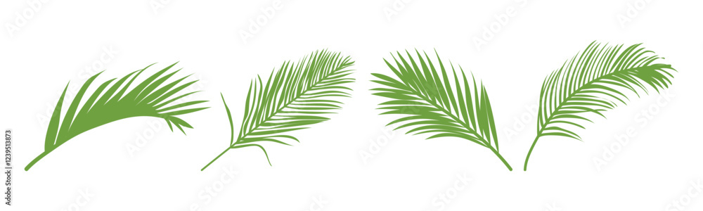 palm leaves. palm. large leaves of a gastrointestinal tree. Pattern of leaves. nature. greens. biology. ecology. palm leaves. palm. large leaves of a gastrointestinal tree. Pattern of leaves. nature. greens. biology. ecology.