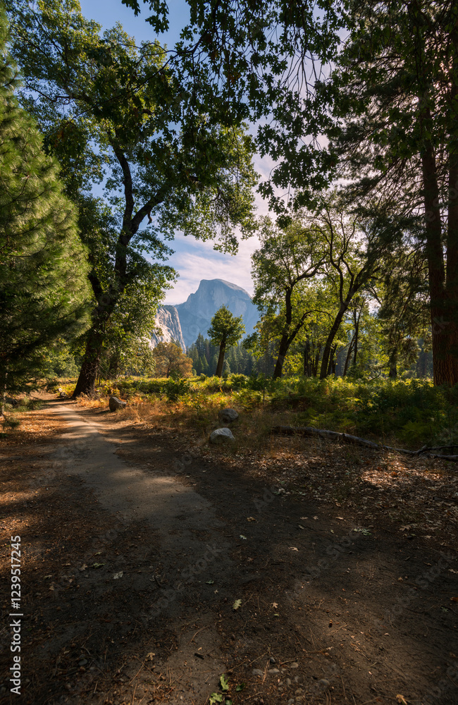 View in Yosemite National Park View in Yosemite National Park