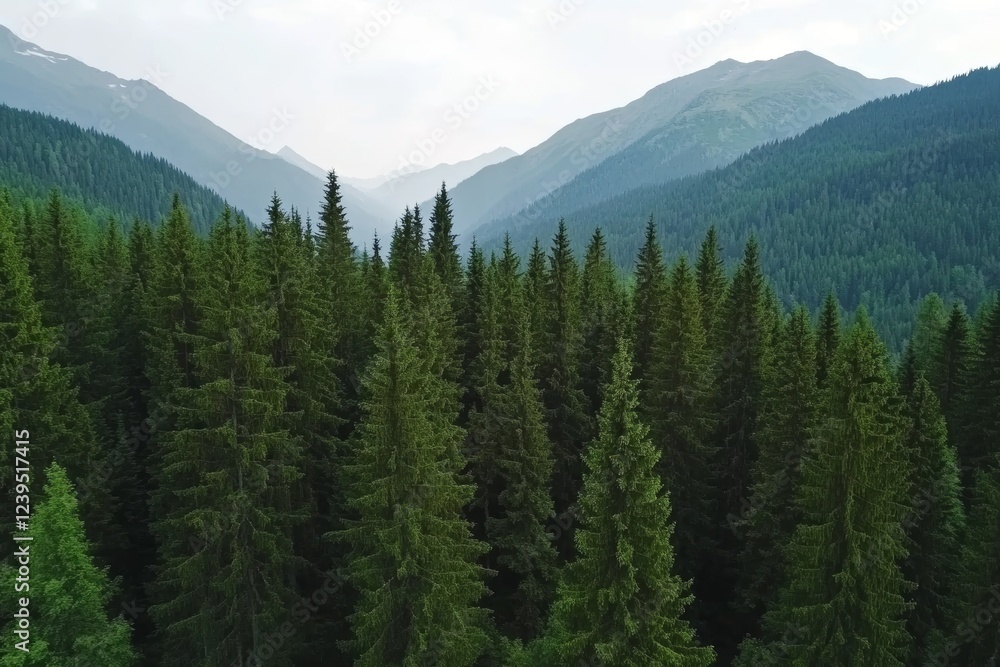 Majestic mountain valley with lush evergreen trees under clear sky Majestic mountain valley with lush evergreen trees under clear sky