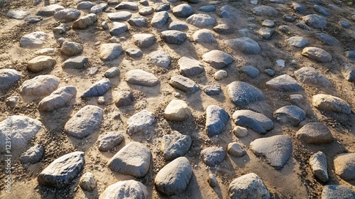 A rugged dirt path with scattered pebbles, bathed in gentle sunlight that casts long shadows, evoking a peaceful outdoor atmosphere photo