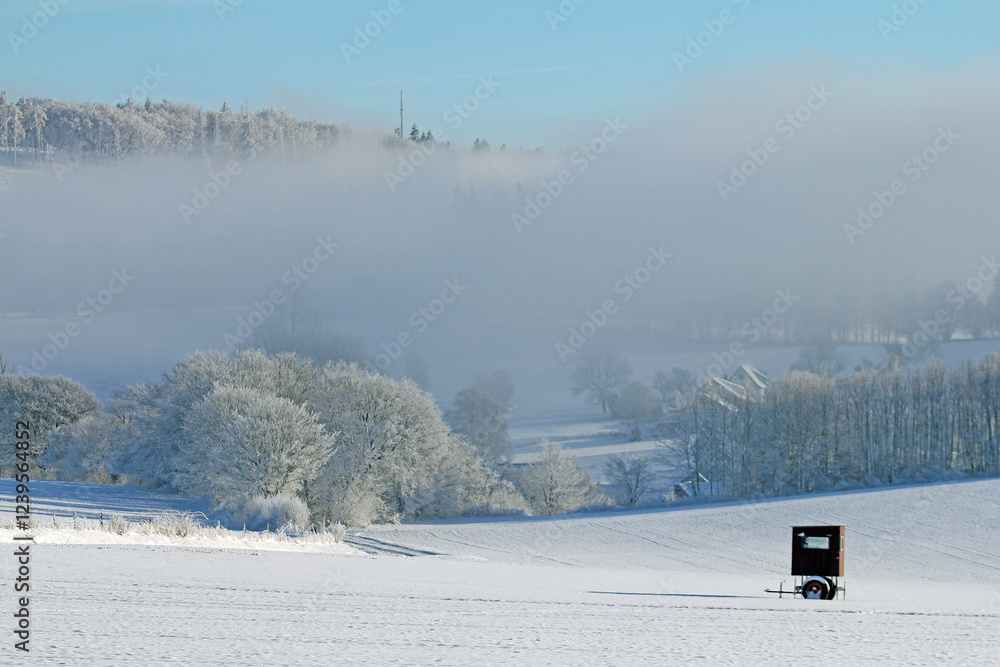 Fototapeta premium Kempenfeldrom. Winterlandschaft im Eggegebirge. 
