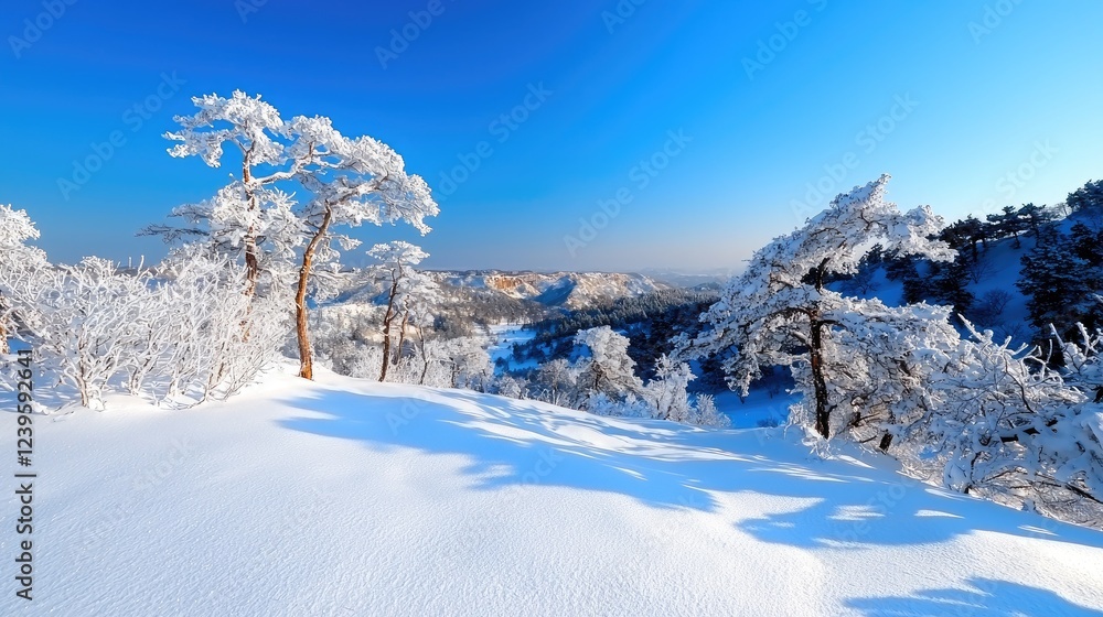 Snow-covered pines on mountain peak, winter landscape, sunny day, scenic view