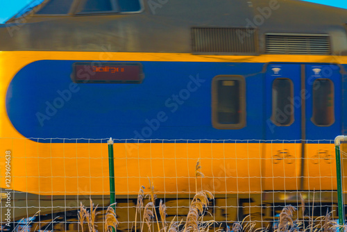 Electric train riding on a railroad track along trees in nature in a foggy sky in winter, Oostvaardersplassen, Almere, Flevoland, The Netherlands, February 3, 2025 photo