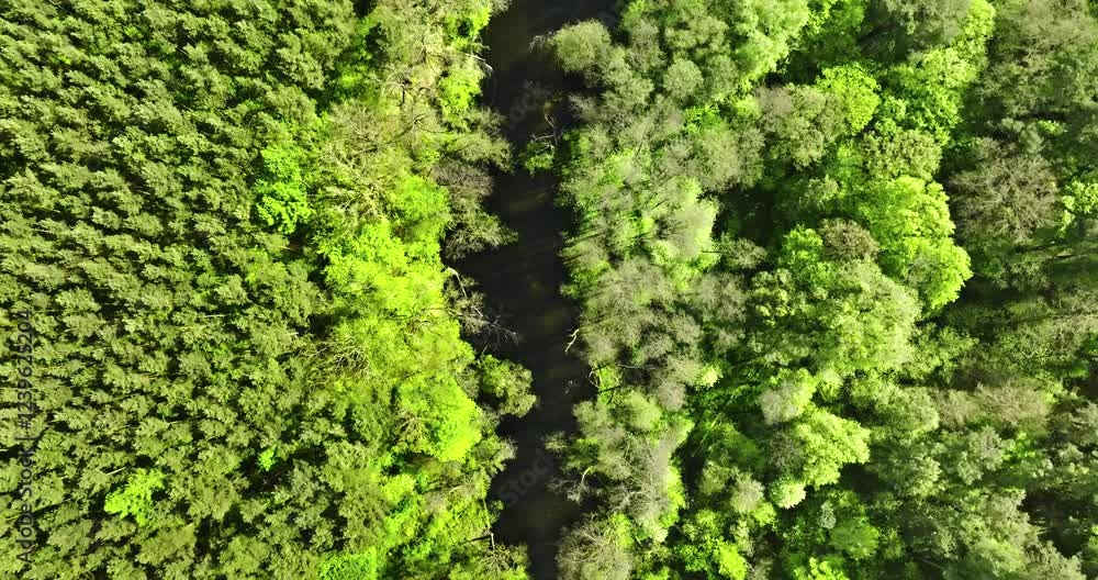 Top down view of river and swamps at spring. Top down view of river and swamps at spring.