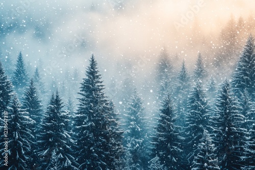 Wallpaper Mural Snow covered pine trees in heavy snowfall Torontodigital.ca