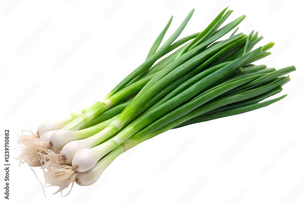 fresh green onions fresh green onions