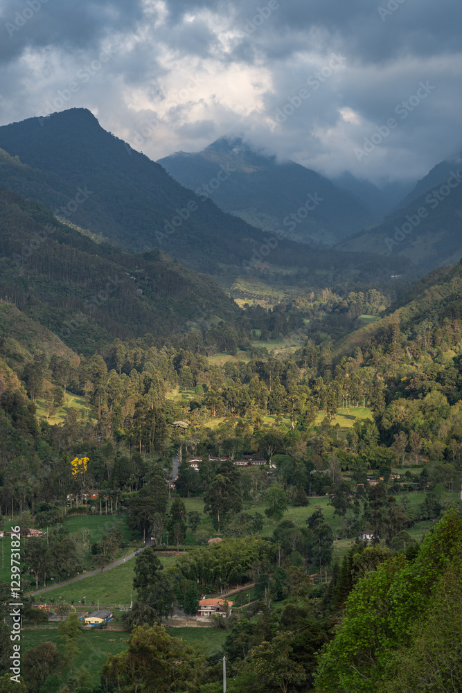 Misty alpine landscape of Cocora valley, Salento, Colombia, South America. Clouds and Subtropical Andean Cordillera in Salento, Colombia, Nevados National Natural Park Misty alpine landscape of Cocora valley, Salento, Colombia, South America. Clouds and Subtropical Andean Cordillera in Salento, Colombia, Nevados National Natural Park