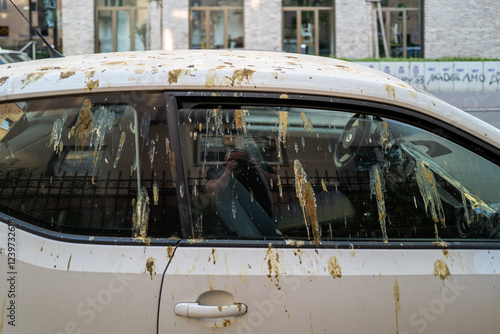 A city car is covered in bird droppings; the messy scene is captured from the side.