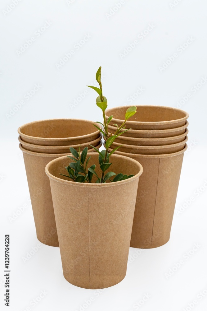 Obraz premium Disposable empty cardboard cups with a boxwood sprig on a white background