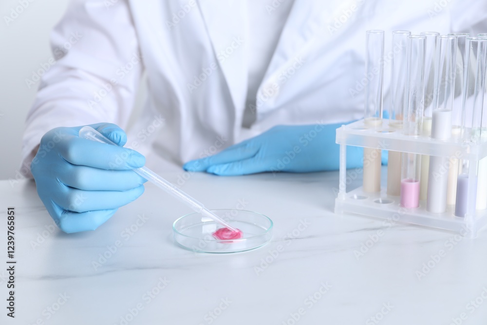 Fototapeta premium Laboratory testing. Scientist working with Petri dish and test tubes at white marble table, closeup
