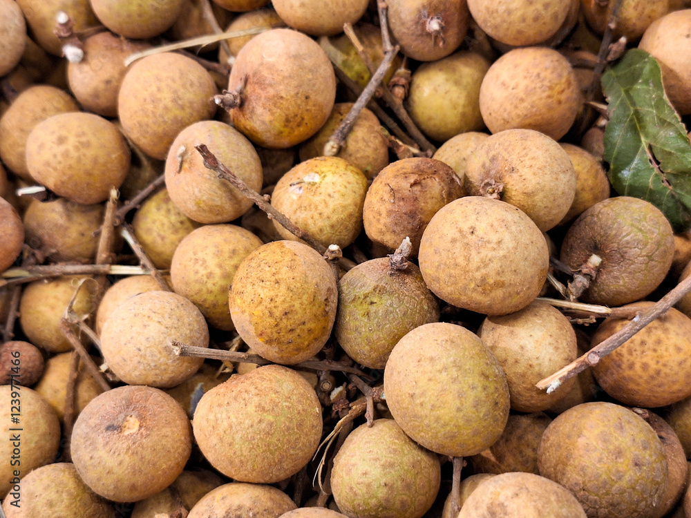 Longan fruit texture close up. Dimocarpus longan. Longan fruit texture close up. Dimocarpus longan.