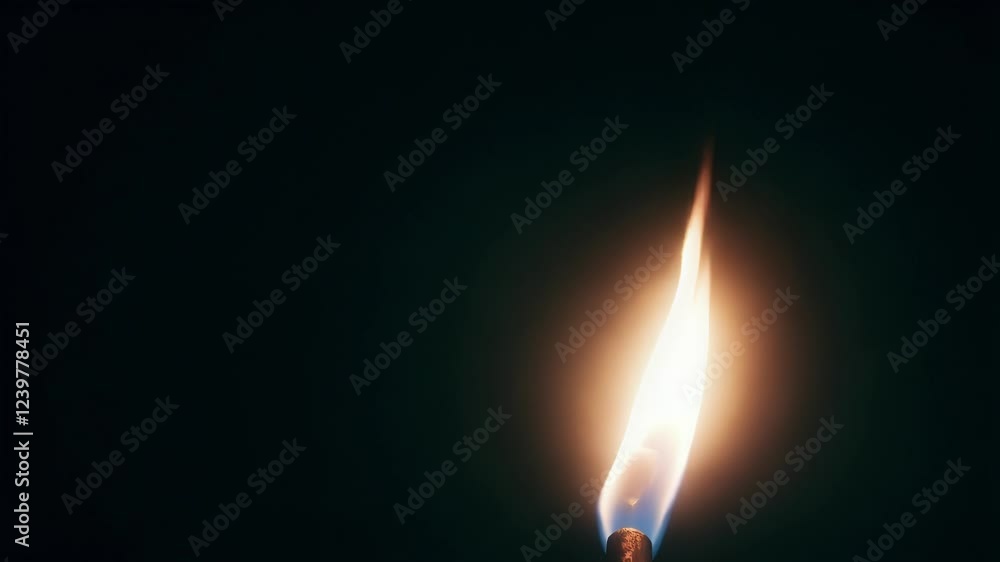 Orange flame burning brightly against deep black background, casting dynamic light and creating mesmerizing visual energy with intense flickering movement