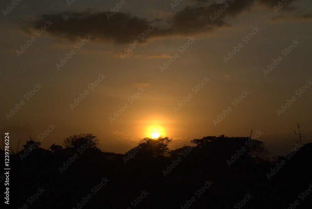 Unos atardeceres espectaculares adornados con el vuelo de las garzas y la cantidad de arboles. Unos atardeceres espectaculares adornados con el vuelo de las garzas y la cantidad de arboles.