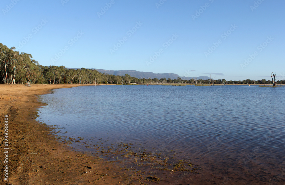Shoreline of Lake Fyans with a forest of trees and water under a clear blue sky in Victoria, Australia Shoreline of Lake Fyans with a forest of trees and water under a clear blue sky in Victoria, Australia