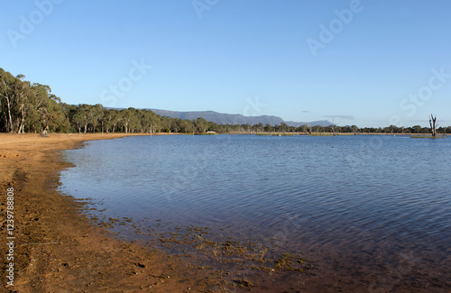 Shoreline of Lake Fyans with a forest of trees and water under a clear blue sky in Victoria, Australia
