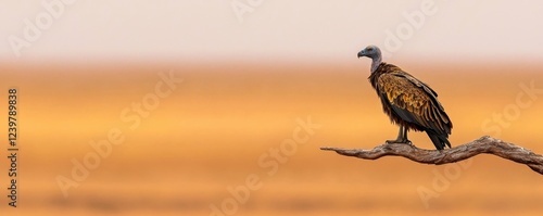 Close up shot of a majestic vulture perched on a dry weathered branch against a minimalist desolate landscape  The bird s sharp beak piercing eyes and rugged feathers stand out in the serene photo