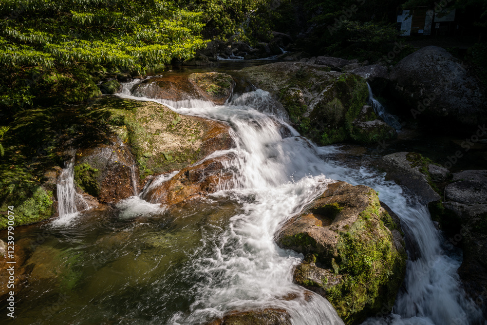 Sunlight streams through lush forest canopy, illuminating a waterfall cascading over moss-covered rocks. Sunlight streams through lush forest canopy, illuminating a waterfall cascading over moss-covered rocks.