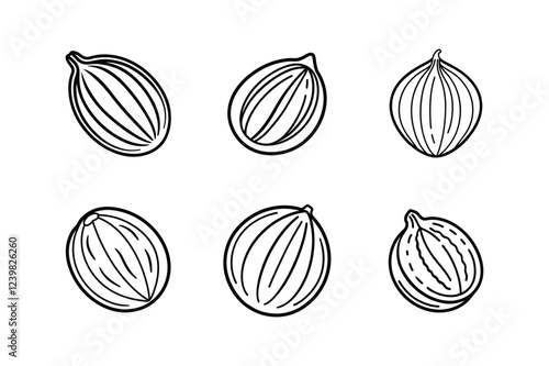 nutmeg icon line art vector illustration