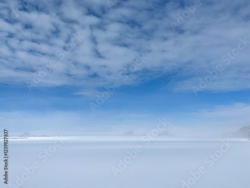 雪原, 北国, Snowy Plains, North Country, photo