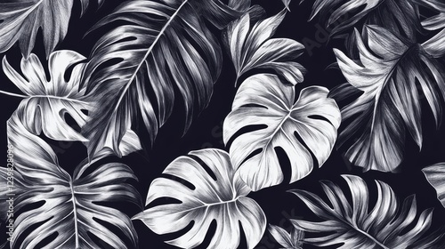 Wallpaper Mural Monochrome Tropical Leaves Illustration on Dark Background Texture Torontodigital.ca