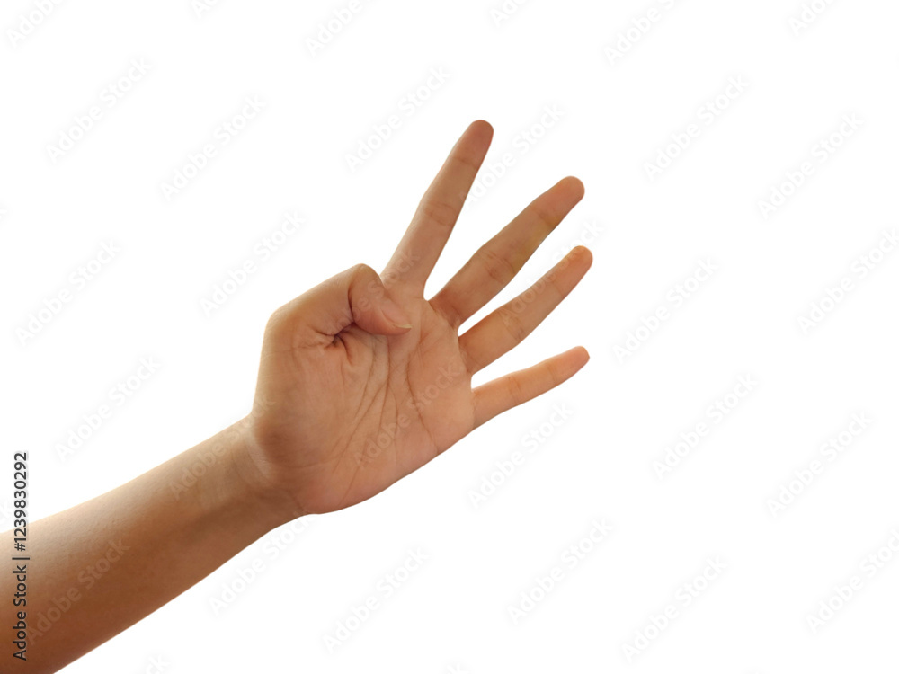 A human hand showing the number four gesture, isolated on a white background, transparent PNG, cut out A human hand showing the number four gesture, isolated on a white background, transparent PNG, cut out
