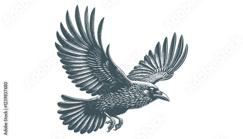 crow vector, raven vector