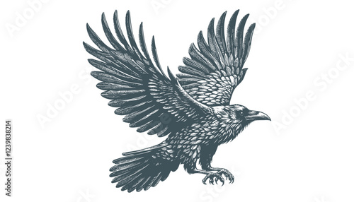 crow vector, raven vector