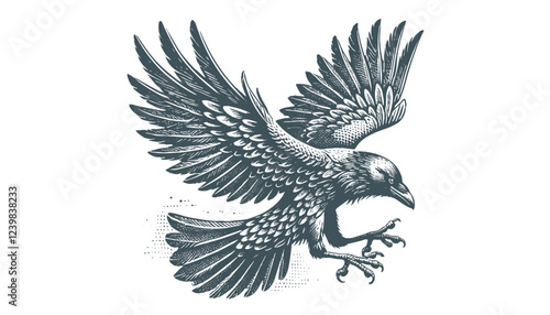 crow vector, raven vector